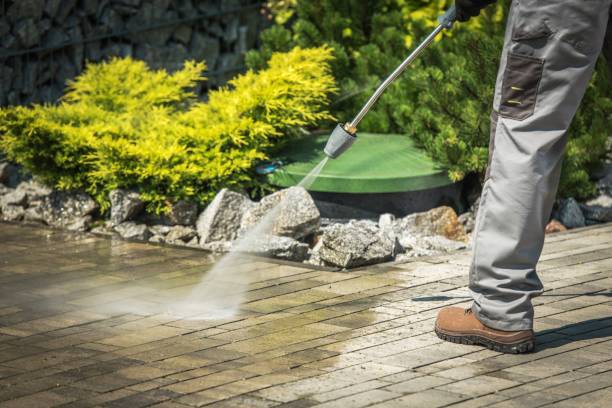 Best Pool Deck Cleaning  in Hemlock, MI