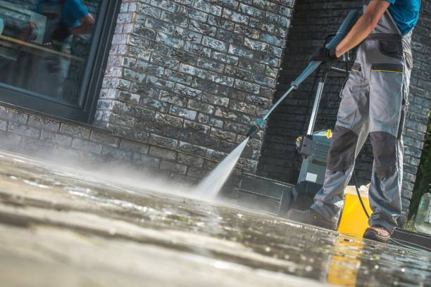 Animal Enclosure Cleaning in Hemlock, MI