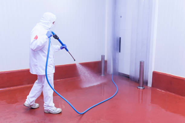 Best Restaurant Pressure Washing  in Hemlock, MI