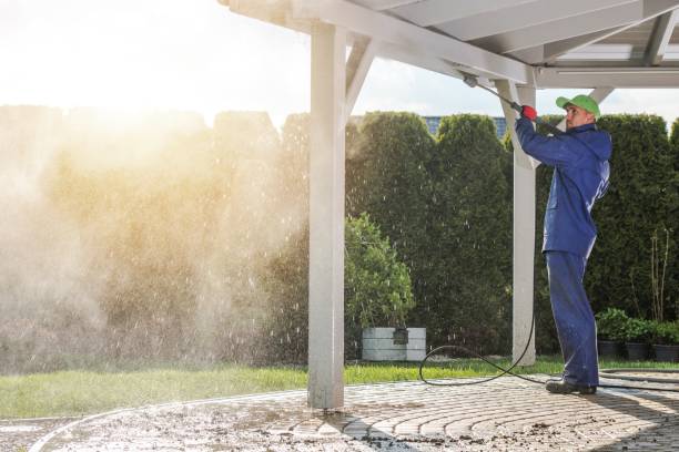 Best Roof Washing  in Hemlock, MI