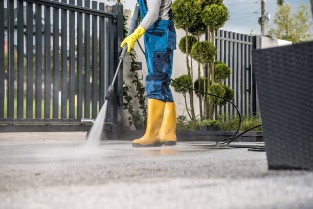 Best Heavy Equipment Washing  in Hemlock, MI