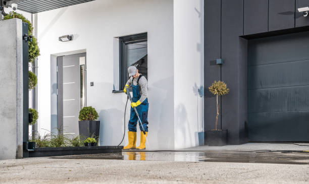 Best Paint Preparation  in Hemlock, MI
